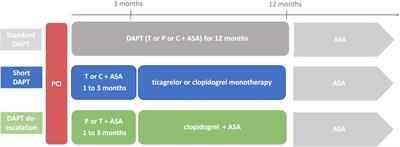 Short dual antiplatelet therapy and dual antiplatelet therapy de-escalation after primary percutaneous intervention: For whom and how